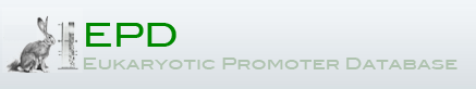 Logo for Eukaryotic Promoter Database