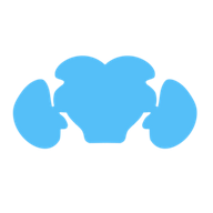 Logo for Virtual Fly Brain