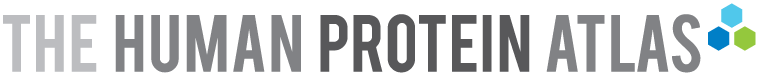 Logo for Human Protein Atlas