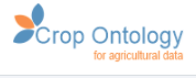 Logo for Collection Ontology